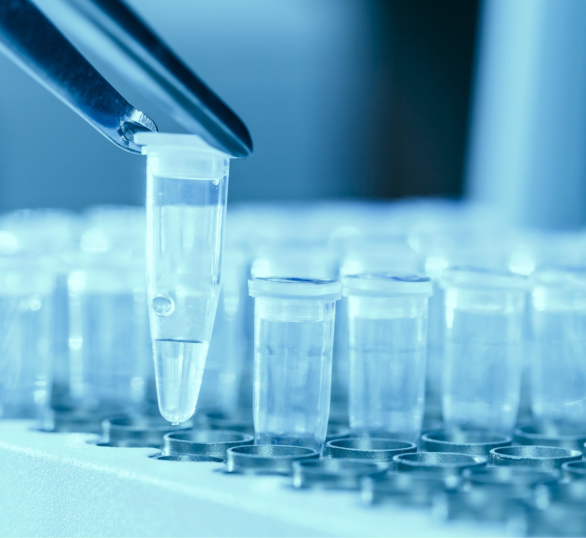 dna-free-certification-services 3