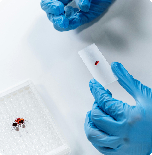 Laboratorio de genética